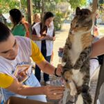 Prefeitura implementa ação permanente de bem-estar animal em Marataízes